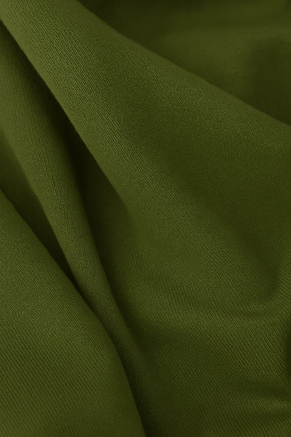 Regular fit Terra Olive T shirt